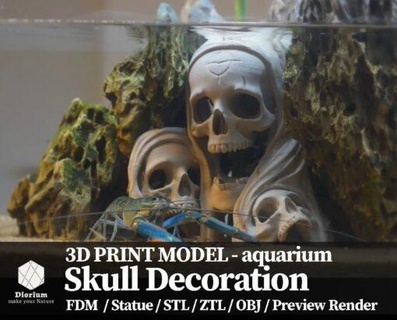 crânio ilha modelo stl 3d impressão 3d print model - Mito3D