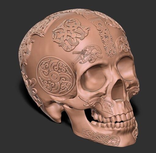 vikingo cráneo g modelo stl 3d impresión 3D print model - Mito3D