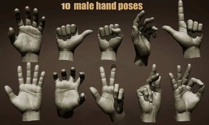 10 masculino mano poses 3d modelos descargar crealidad nube 3d print model - Mito3D