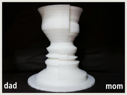 2 cara flor vaso ilusão casa decoração 3d print model - Mito3D