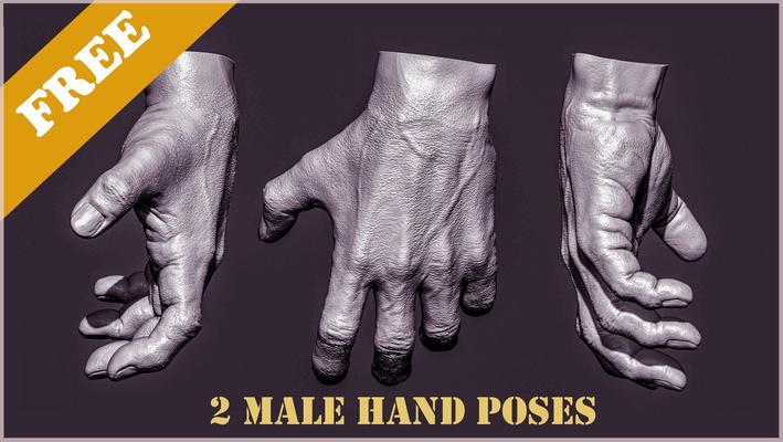 2 male hand poses free 3d models download creality cloud men 3d print model - Mito3D