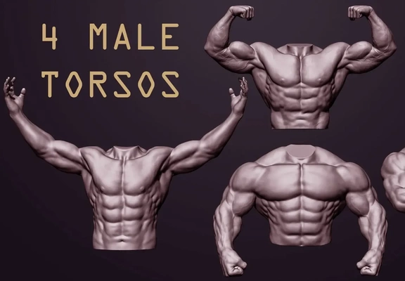 4 male torsos 3d models download creality cloud 3d print model - Mito3D