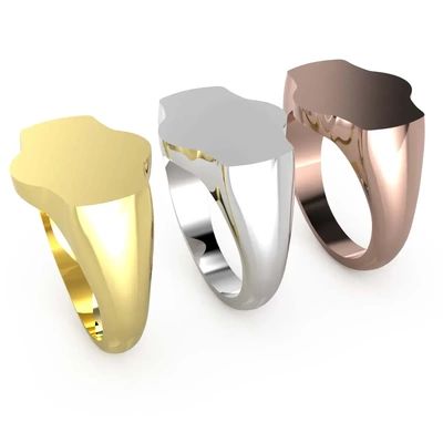 ac mens ring 009 v 01 02 3d modelos baixar crialidade nuvem 3d print model - Mito3D