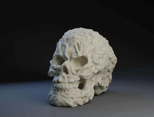 aesthetic human skull 3d models download creality cloud 3d print model - Mito3D