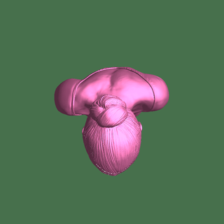 angelina mulheres 3d print model - Mito3D