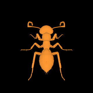 hormiga animales 3d print model - Mito3D