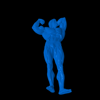 Arnold personnages 3d print model - Mito3D