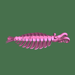 articulated anomalocaris Myths 3d print model - Mito3D