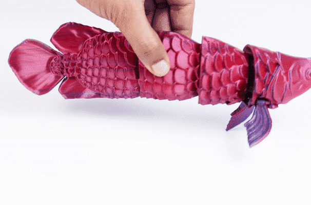 articulado aruanã peixe sorte charme mexer animal 3d modelos baixar crialidade nuvem peixes 3d print model - Mito3D