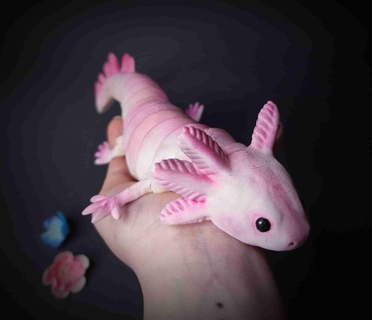 articulated axolotl Others 3d print model - Mito3D
