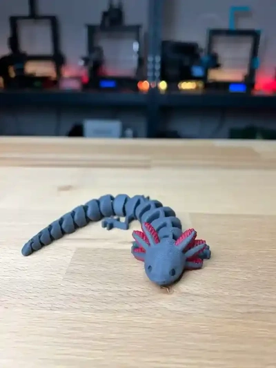 articulated axolotl 3d models download creality cloud reptilian 3d print model - Mito3D