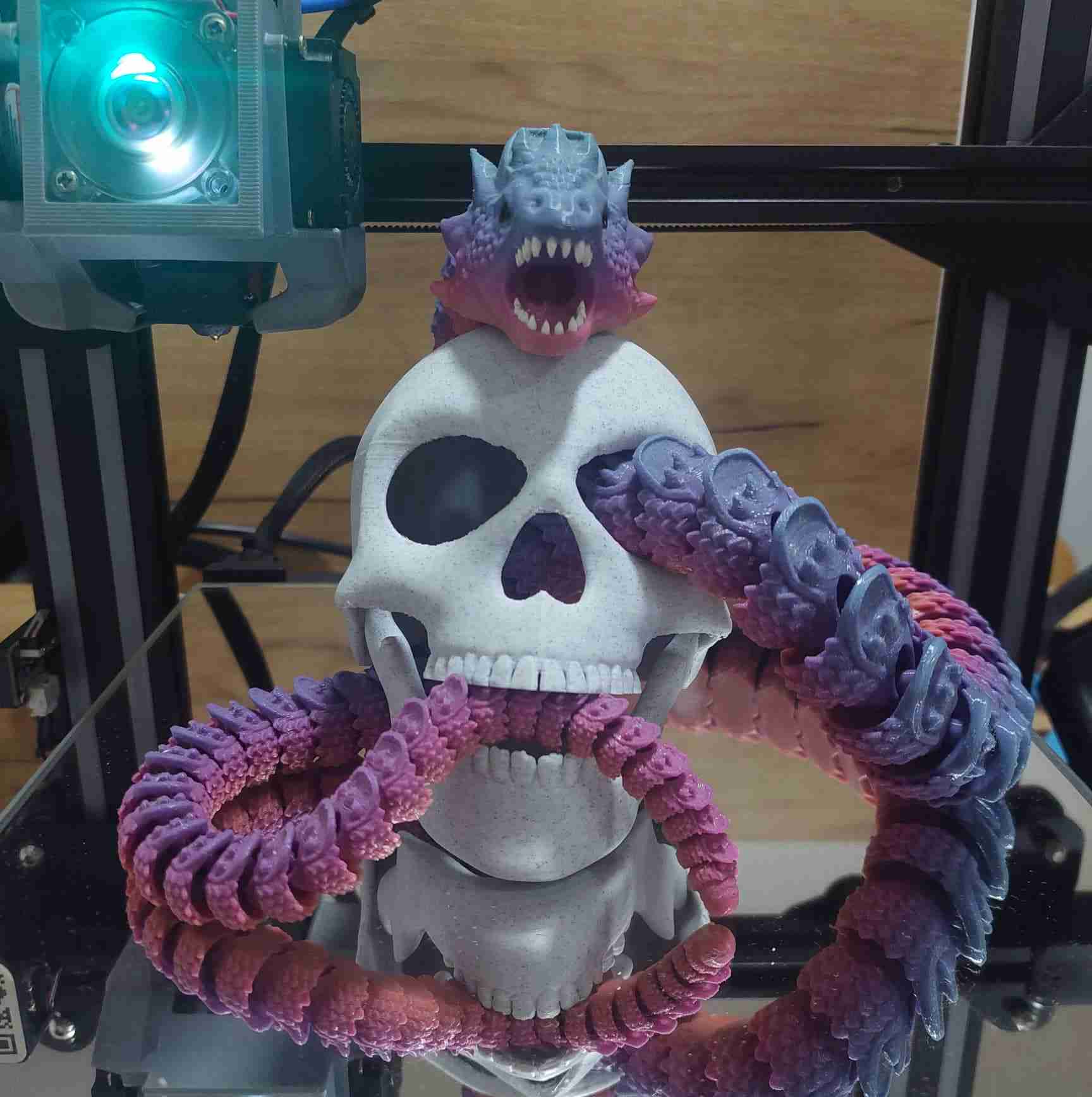 articulado crânio movimento mandíbula 3D print model - Mito3D