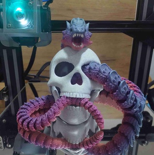 articulado cráneo Moviente mandíbula 3d print model - Mito3D