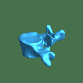articolando colonna vertebrale base biologia medico 3d print model - Mito3D
