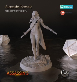 assassino femmina immaginario personaggi 3d print model - Mito3D