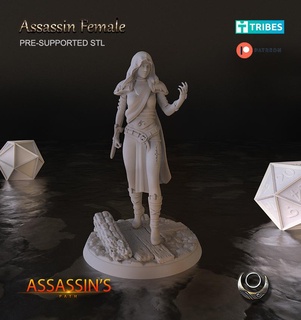 assassin femelle fictif personnages 3d print model - Mito3D