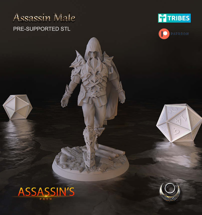 assassin Masculin fictif personnages 3D print model - Mito3D