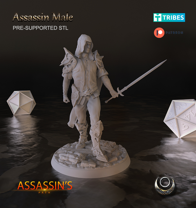 assassin Masculin 3D print model - Mito3D