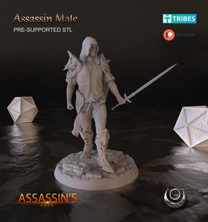 assassin Masculin 3d print model - Mito3D