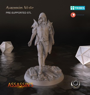 assassino masculino ficcional personagens 3d print model - Mito3D
