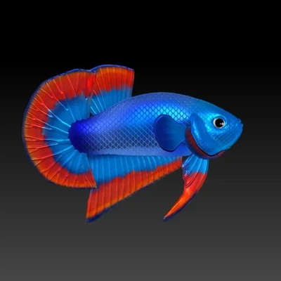 betta balık 2 3d modeller indir creality bulut 3d print model - Mito3D