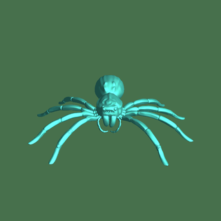 bigkev wolf spider Insects  3d print model - Mito3D