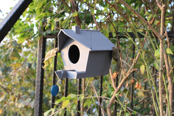 oiseau maison nid 3d modèles télécharger créalité nuage nature plantes 3d print model - Mito3D