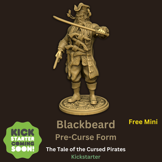 barbe noire pirate pre curse forme 3d modèles télécharger créalité nuage personnages 3d print model - Mito3D
