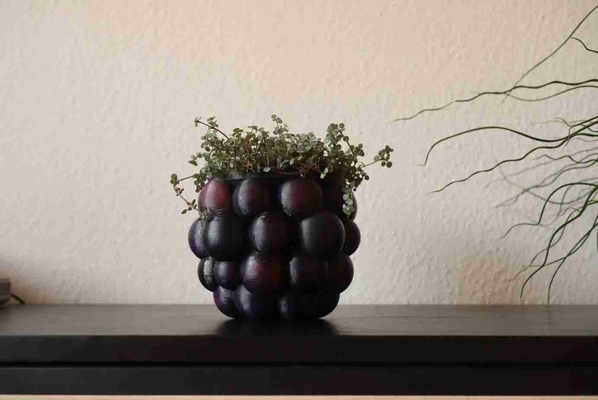 blackberry 36 3d modeller indir creality bulut doğa bitkiler 3d print model - Mito3D