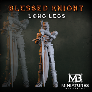 blessed long legs knight Men 3d print model - Mito3D