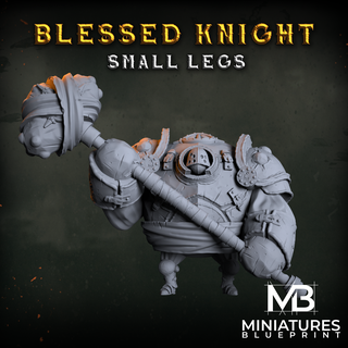 blessed small legs knight Men 3d print model - Mito3D