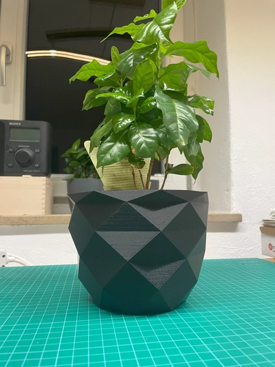 blumentopf mit vaso interno 3d modelli scarica creality nube 3d print model - Mito3D