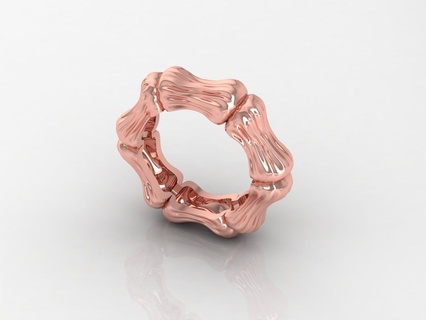 bone ring Jewellery 3d print model - Mito3D
