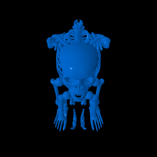 Knochen 3d print model - Mito3D