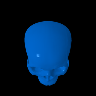 bones skeleton Others 3d print model - Mito3D