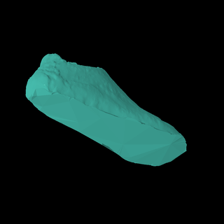 boot scaned Others 3d print model - Mito3D