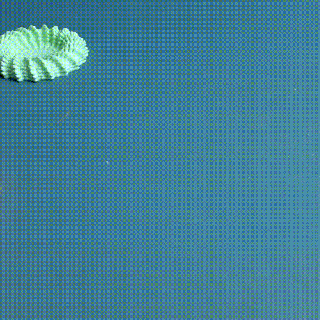 çanak heliopora mercan ev halkı 3d print model - Mito3D