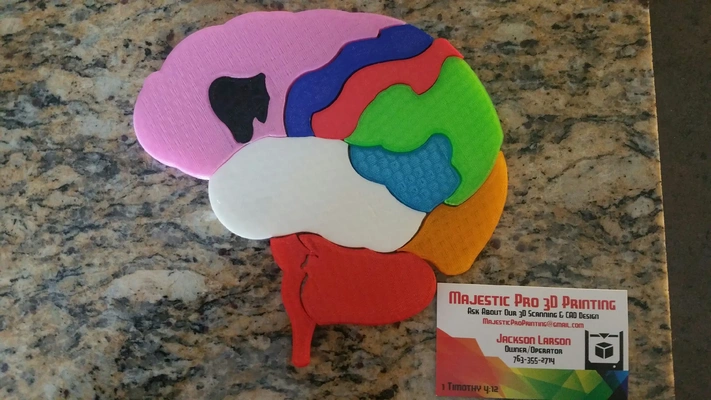 cervello puzzle 3d modelli scarica creality nube biologia medico 3d print model - Mito3D