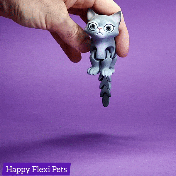 occupato gatto Stampa posto flessibile giocattolo mammifero 3D print model - Mito3D