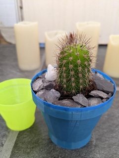 cactus plant pot Nature & Plants 3d print model - Mito3D