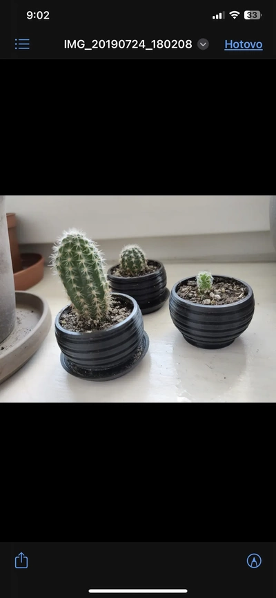 cactus planteur 3d modèles télécharger créalité nuage 3d print model - Mito3D