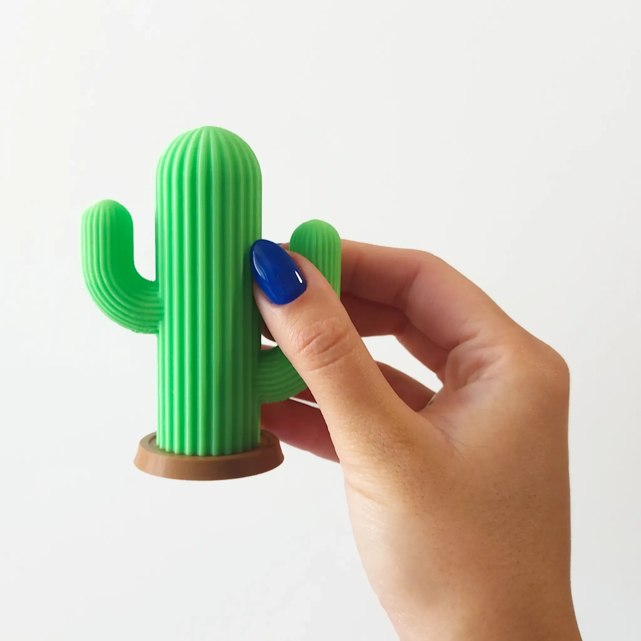 cactus palillo dientes soporte 3d modelos descargar crealidad nube 3D print model - Mito3D