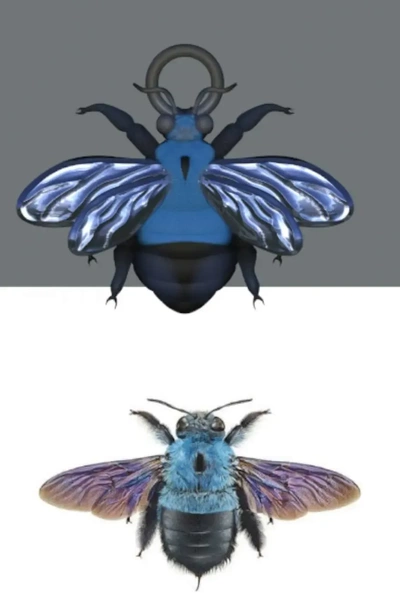 carpenter bee pendant 3d models download creality cloud 3d print model - Mito3D