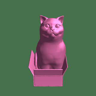 gatto scatola mammifero 3d print model - Mito3D