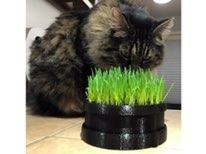 gato Relva plantador casa 3d print model - Mito3D