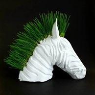 cat grass zebra planter Animals 3d print model - Mito3D