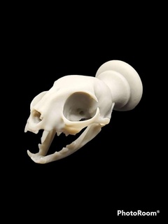 gatto cranio maniglia pomello domestico 3d print model - Mito3D