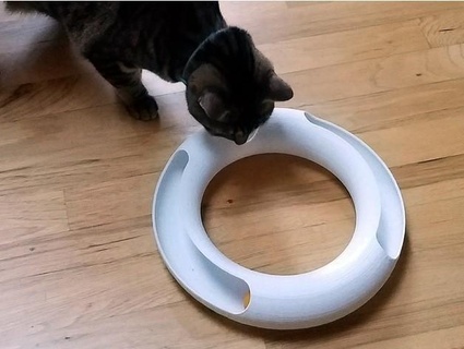 cat track toy Toys & Games 3d print model - Mito3D
