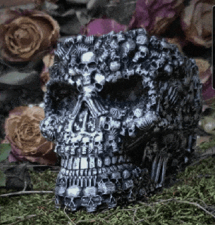 catacombe cranio ciotola pretzel stampe casa arredamento 3d print model - Mito3D