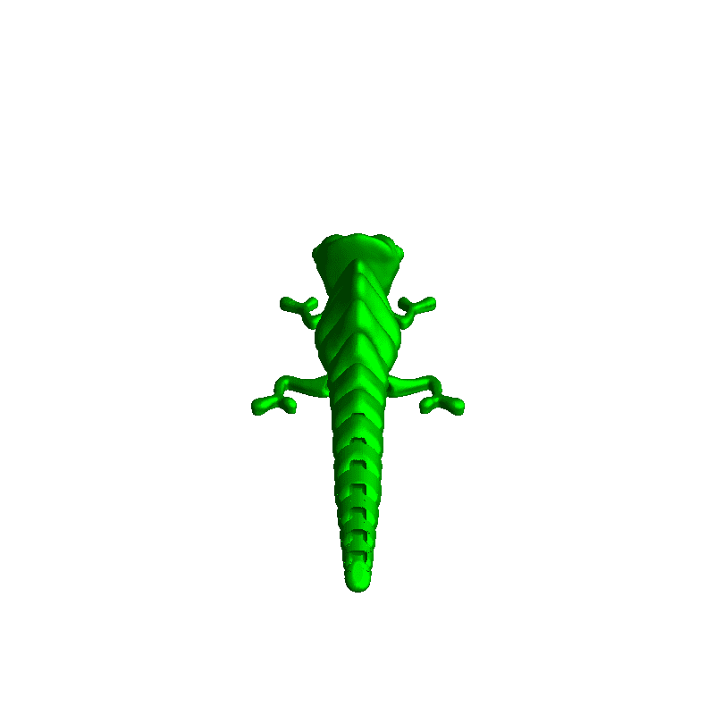 chameleon Reptilian 3D print model - Mito3D